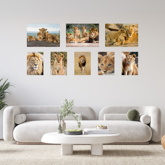 8 Piece Small Feature Canvas Combo