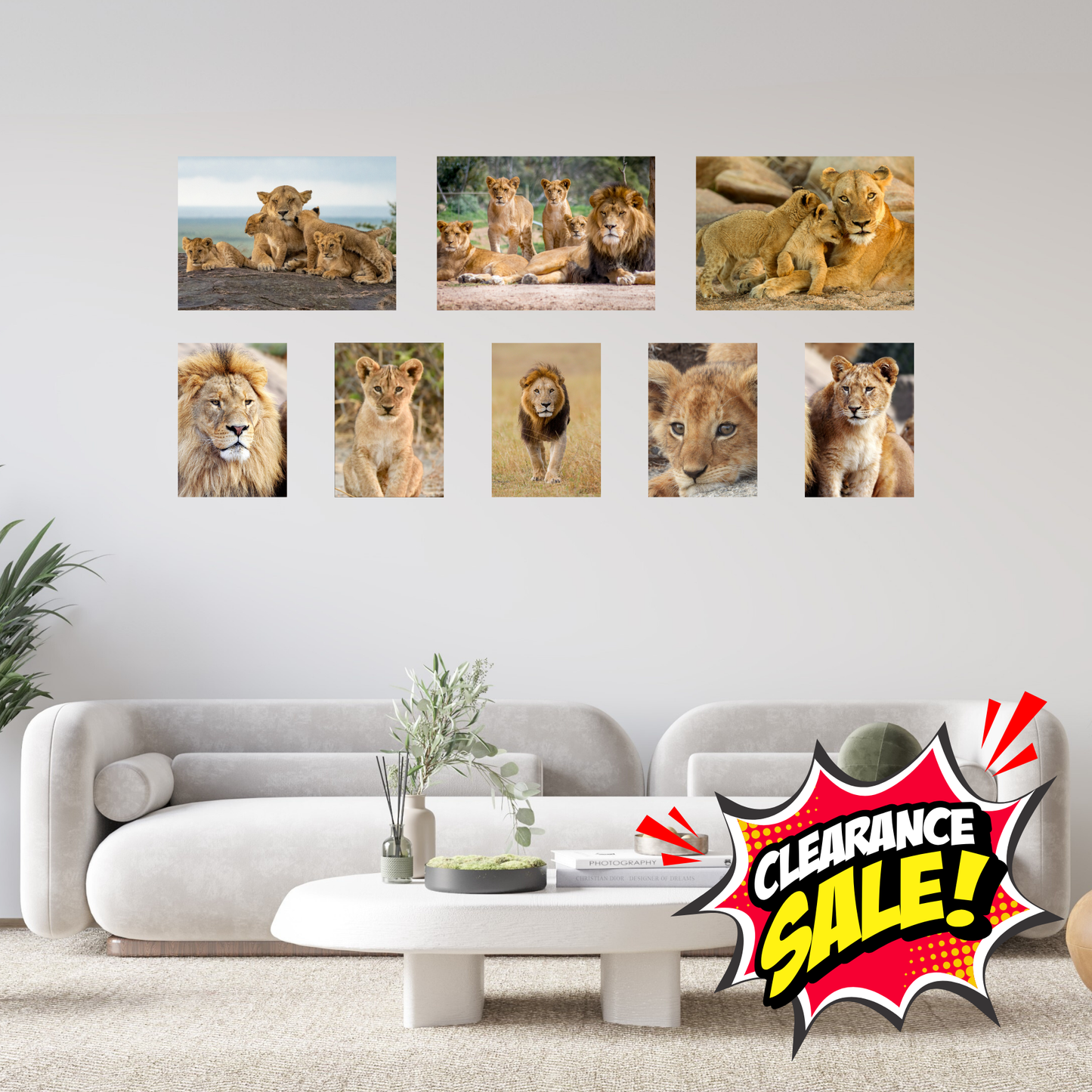 8 Piece Small Feature Canvas Combo