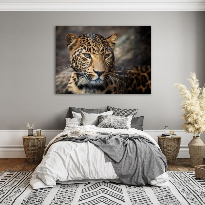 Beautiful Leopard Closeup Pre-Printed Canvas