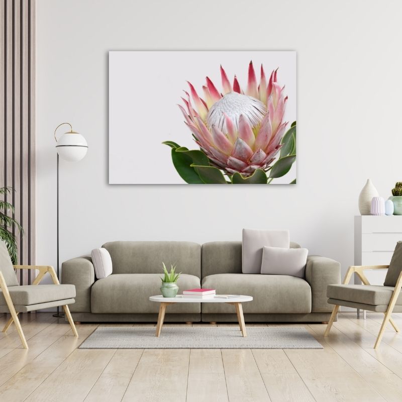 Elegant Protea Pre-Printed Canvas