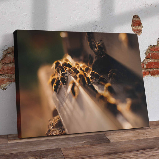 Bees Closeup Pre-Printed Canvas