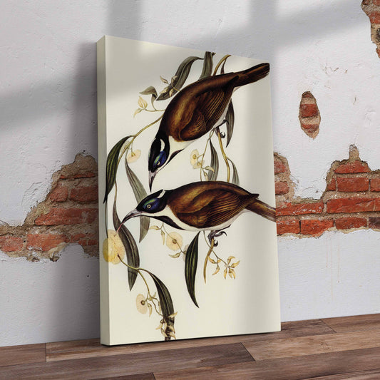 Blue Faced Birds Pre-Printed Canvas