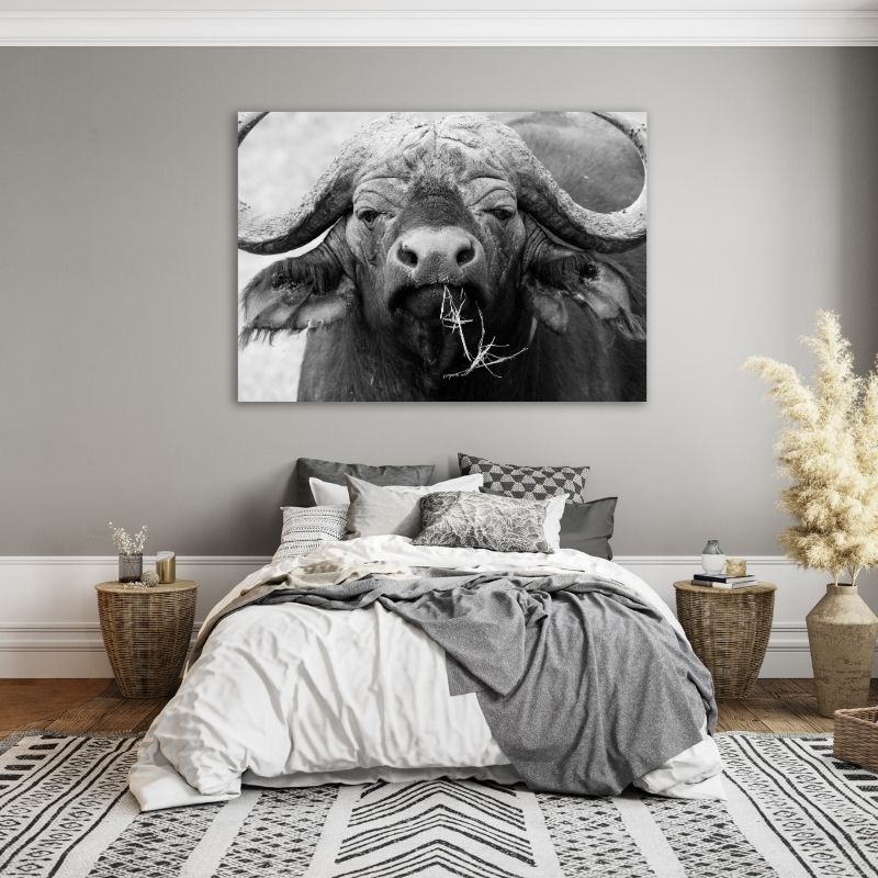 Black and White Buffalo Closeup Pre-Printed Canvas