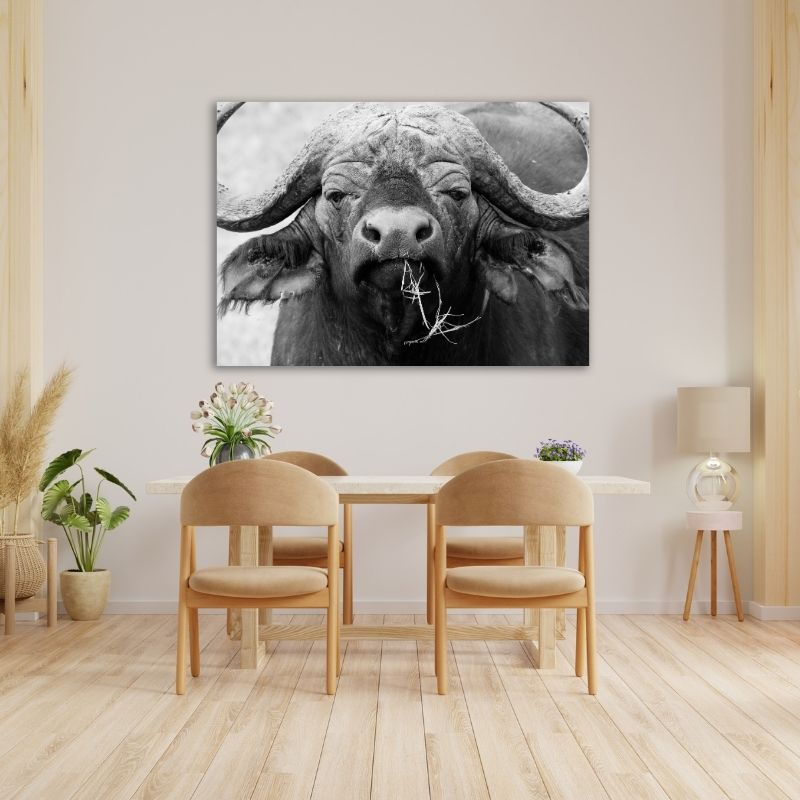 Black and White Buffalo Closeup Pre-Printed Canvas