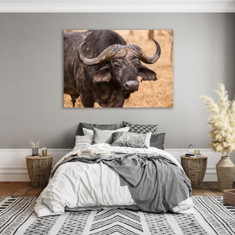 Buffalo Pre-Printed Canvas