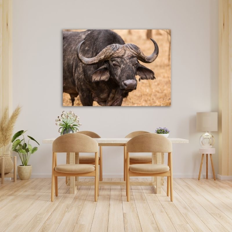 Buffalo Pre-Printed Canvas
