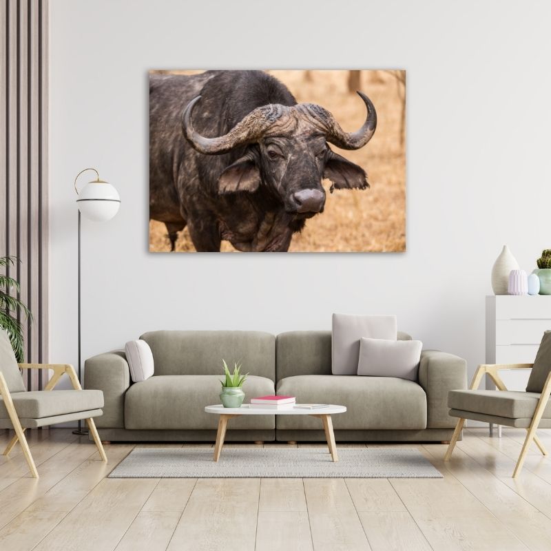 Buffalo Pre-Printed Canvas