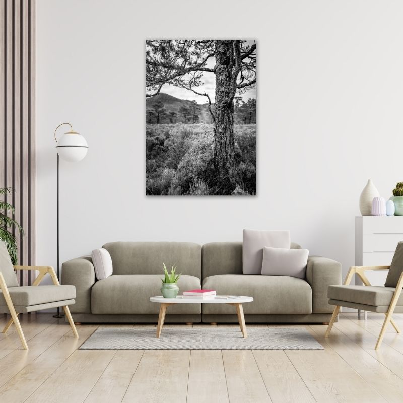 Bushveld Tree Pre-Printed Canvas