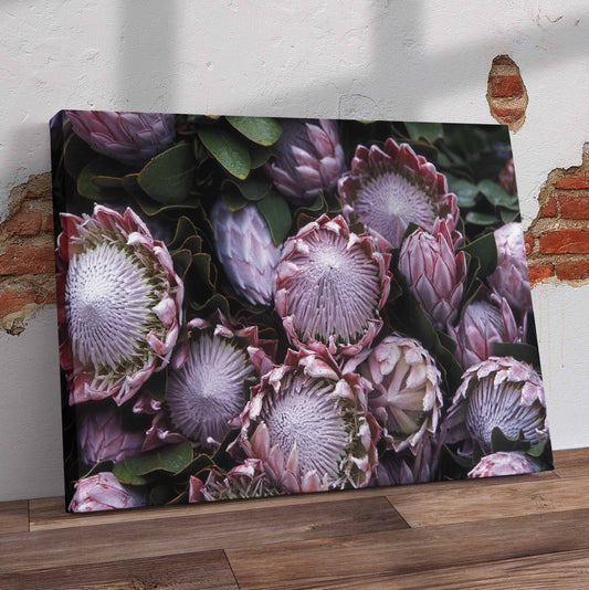 Closeup Pink Protea Pre-Printed Canvas