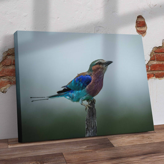Lilac Breasted Roller Pre-Printed Canvas