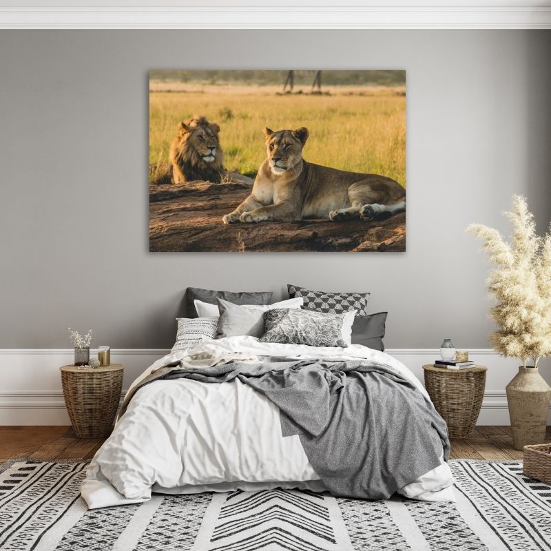 Lion And Lioness Pre-Printed Canvas