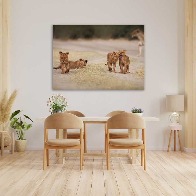 Lion Cubs Pre-Printed Canvas