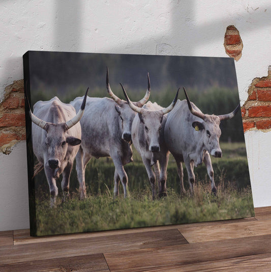 Nguni in Field Pre-Printed Canvas