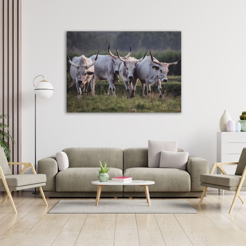 Nguni in Field Pre-Printed Canvas