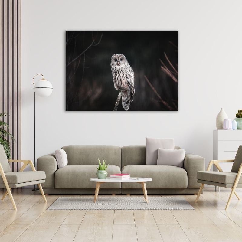 Owl Closeup Pre-Printed Canvas
