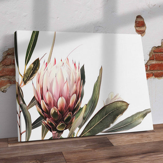 Painted Proteas Pre-Printed Canvas