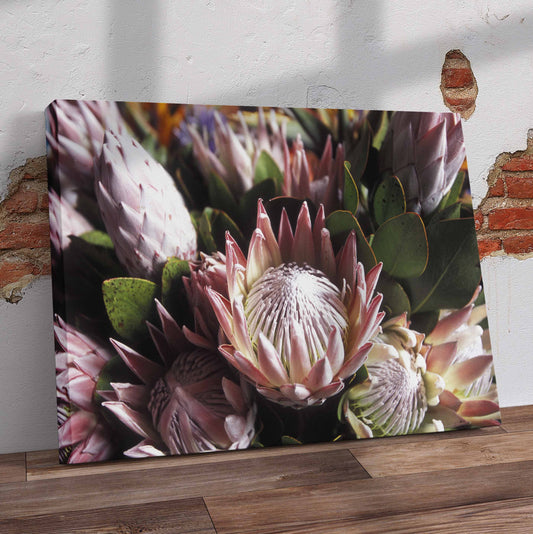 Protea Closeup Pre-Printed Canvas