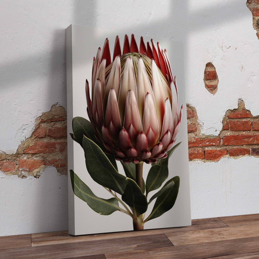 Protea Flower with Leaf Pre-Printed Canvas