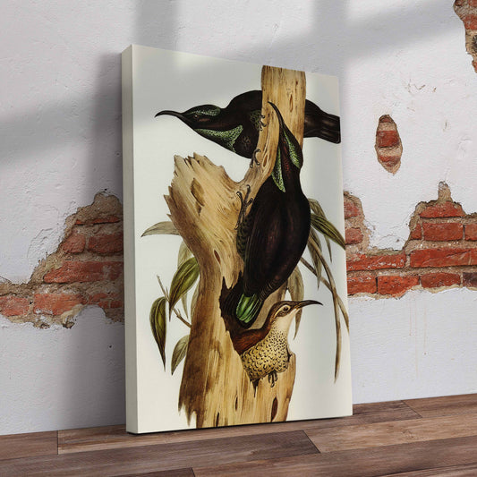 Rifle Birds Pre-Printed Canvas