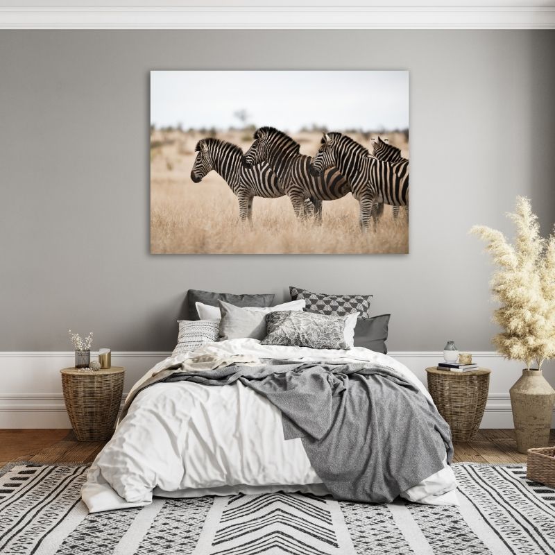 Three Zebras Pre-Printed Canvas