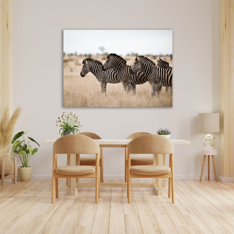 Three Zebras Pre-Printed Canvas