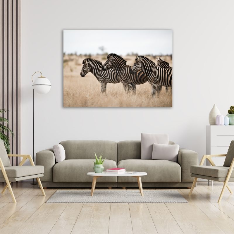 Three Zebras Pre-Printed Canvas