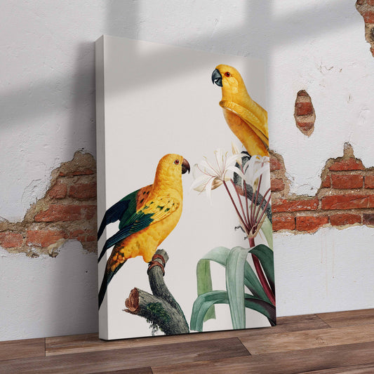Tropical Macaws Pre-Printed Canvas