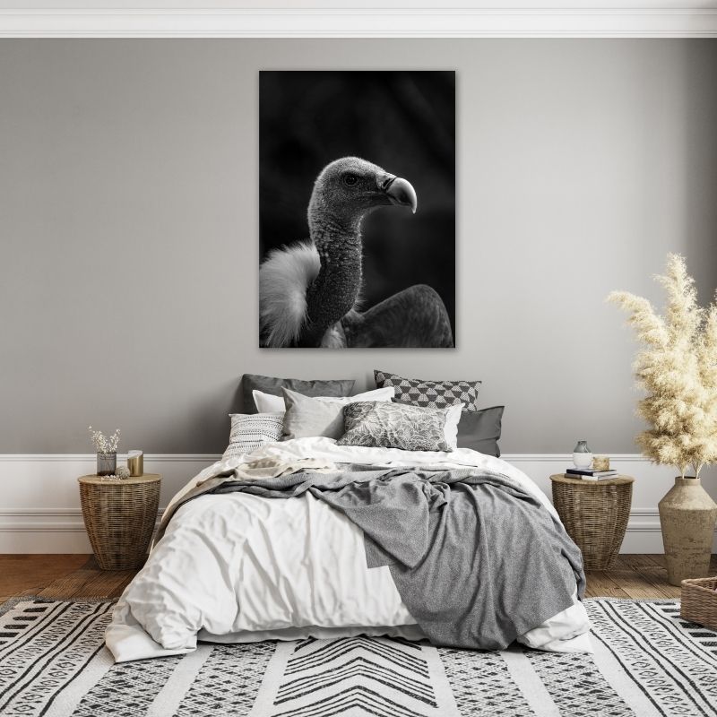 Vulture Pre-Printed Canvas