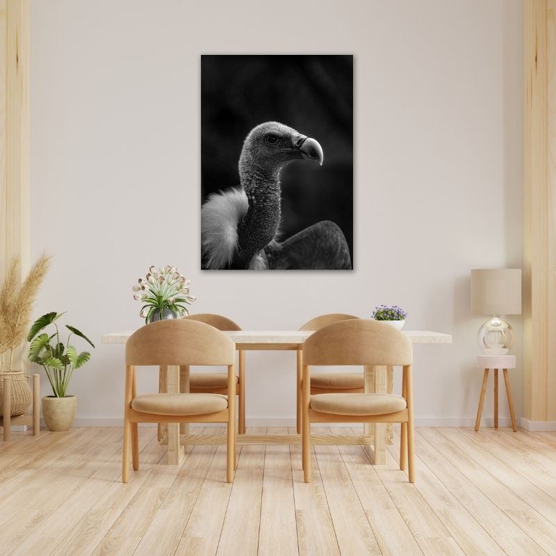 Vulture Pre-Printed Canvas