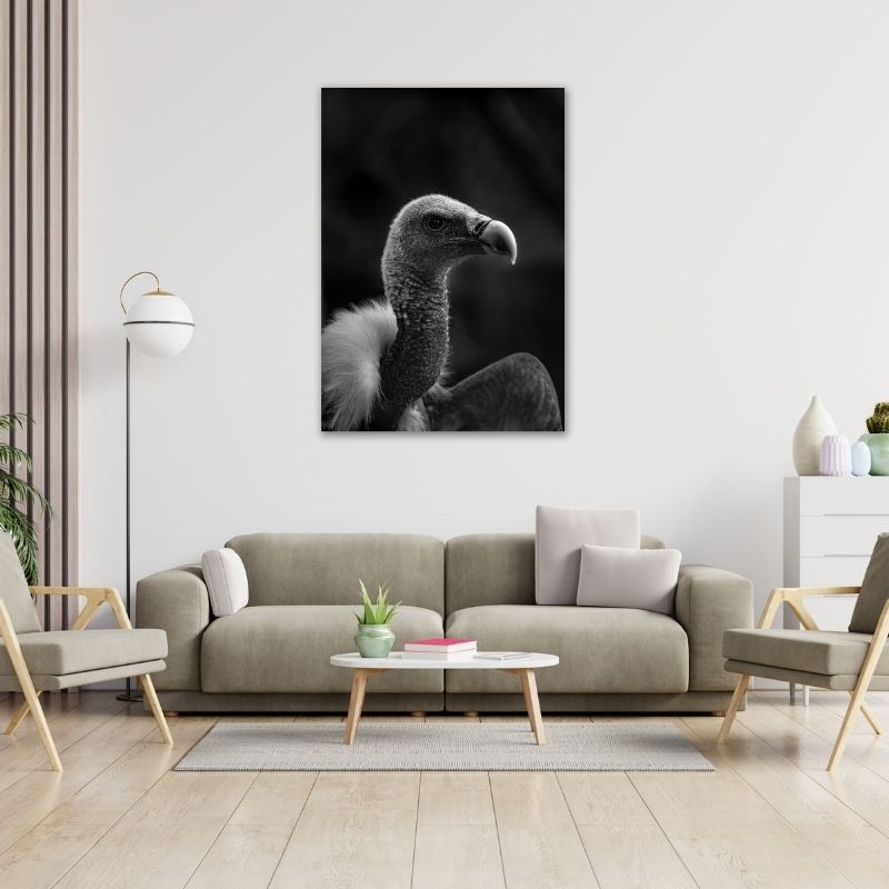 Vulture Pre-Printed Canvas