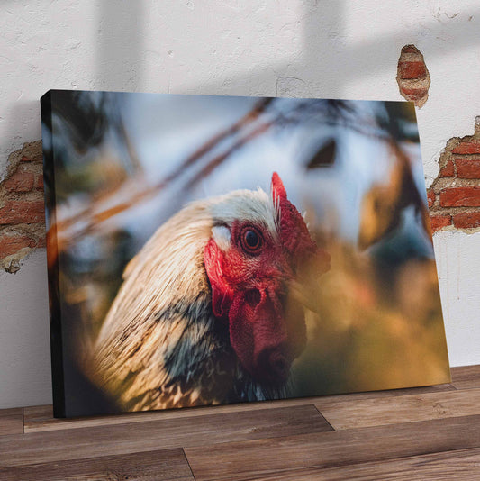 White Rooster Pre-Printed Canvas