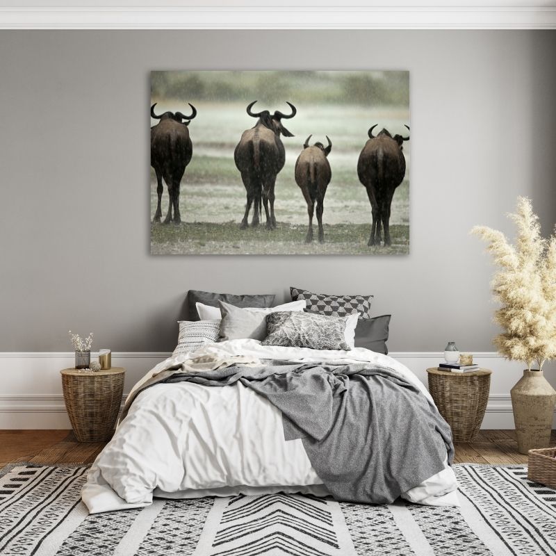 Wildebeest from back Pre-Printed Canvas