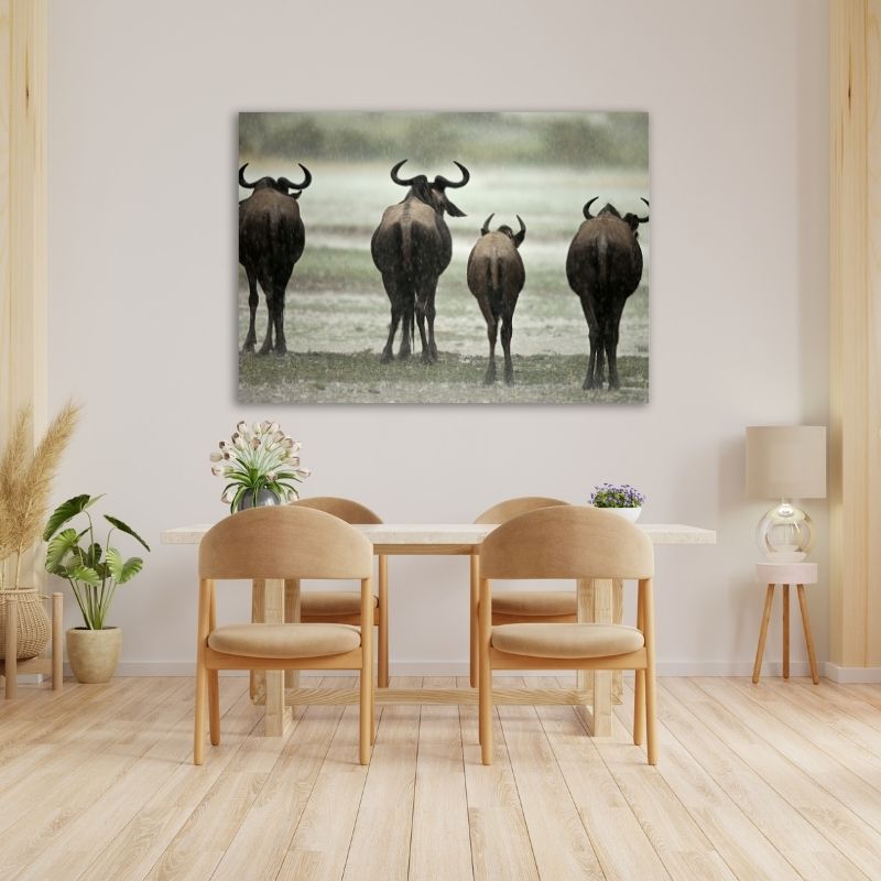 Wildebeest from back Pre-Printed Canvas