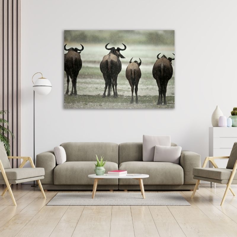 Wildebeest from back Pre-Printed Canvas