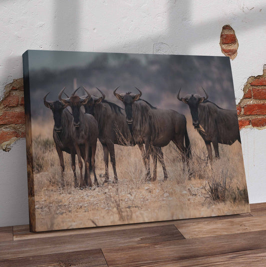 Wildebeest in field Pre-Printed Canvas