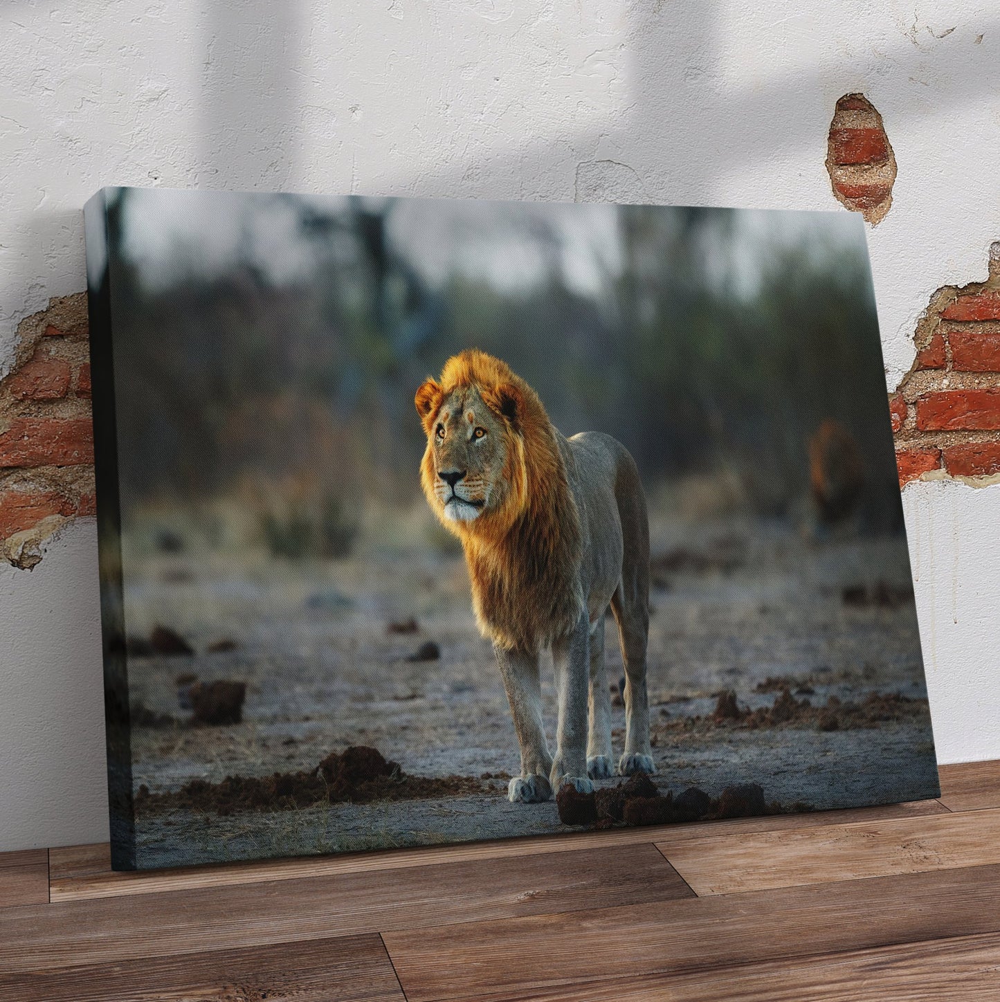 African Lion Pre-Printed Canvas - Canvas and Gifts