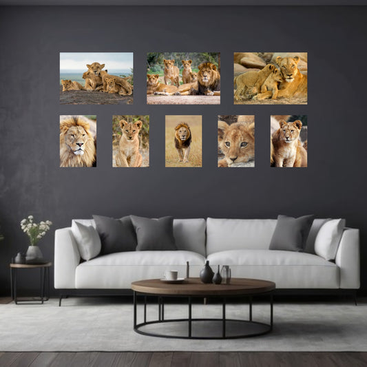 8 Piece Small Accent Canvas Combo on a wall