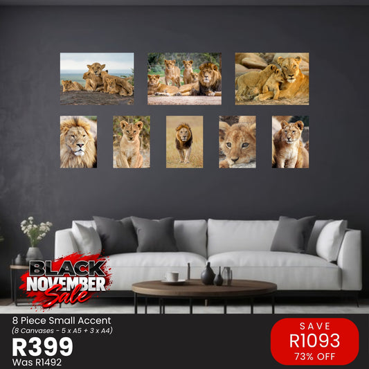 8 Piece Small Accent Canvas Combo – Black November R399