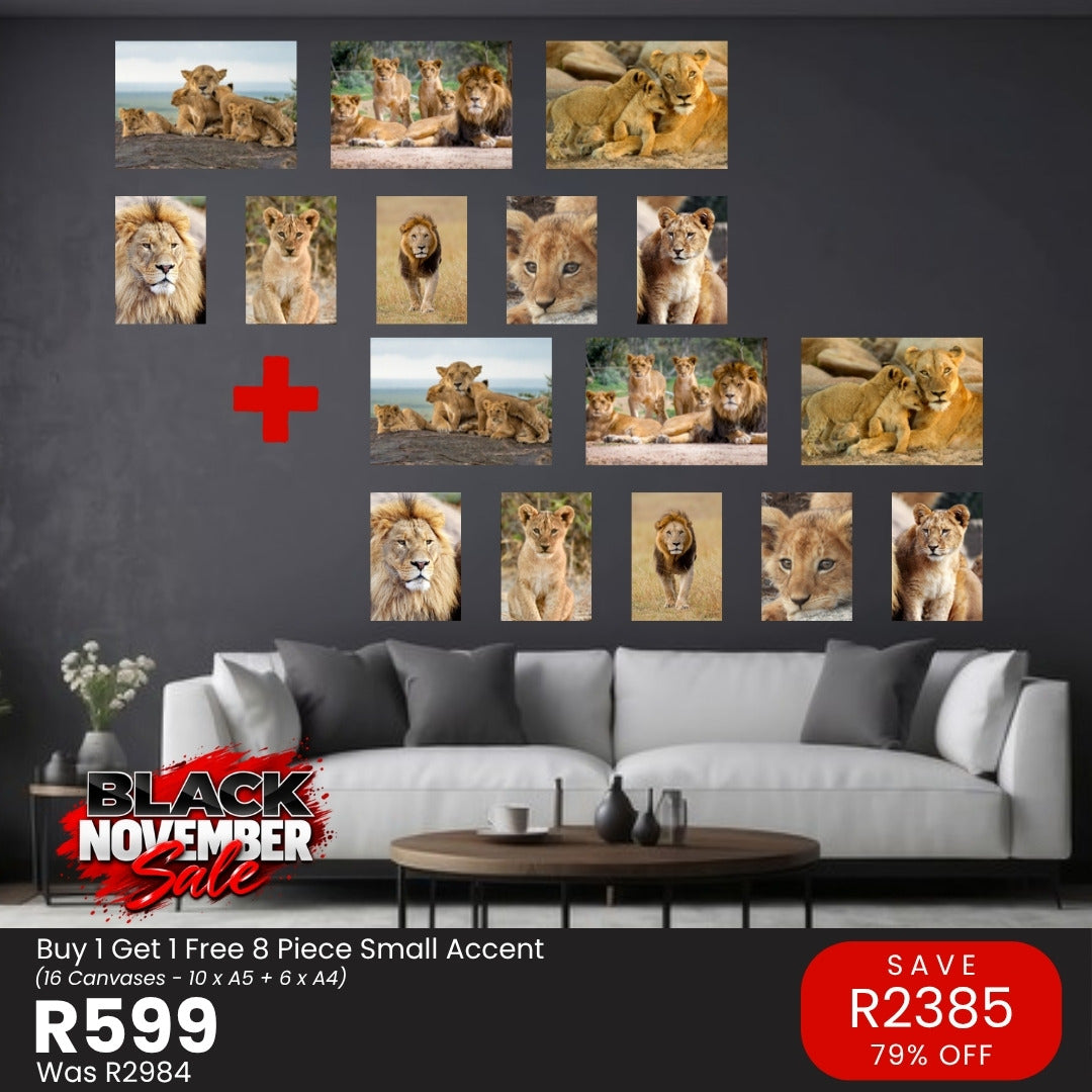 Black November: Buy 1 Get 1 Free 8 Piece Small Accent canvas combo, R599