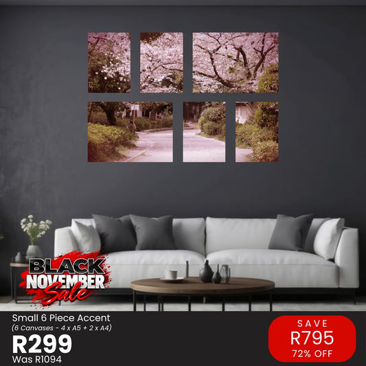 Small 6 Piece Accent Canvas Combo – Black November R299