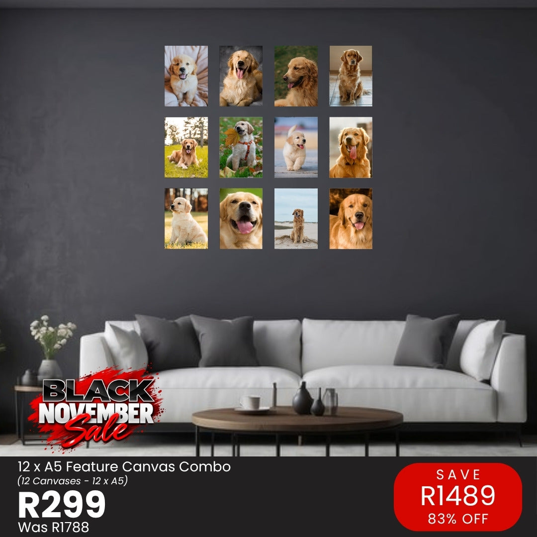 Black November: 12 x A5 Feature canvas combo, R299