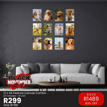 Black November: 12 x A5 Feature canvas combo, R299