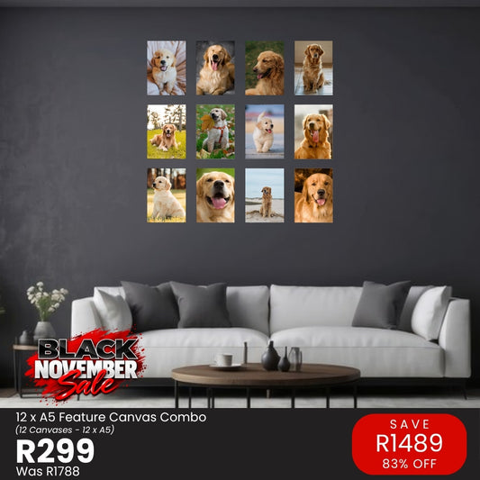 Black November: 12 x A5 Feature canvas combo, R299