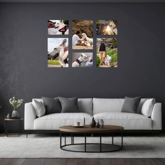 Small 6 Piece Puzzle Accent Canvas Combo on a wall