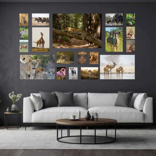 19 Piece Ultimate Statement Canvas Combo on a wall
