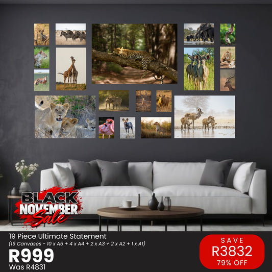 19 Piece Ultimate Statement Canvas Combo – Black November R999