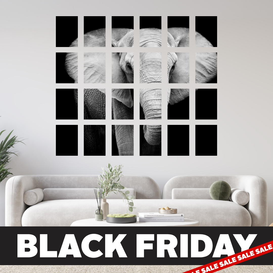 Black Friday Ultimate 24 A5 Canvas Combo Deal