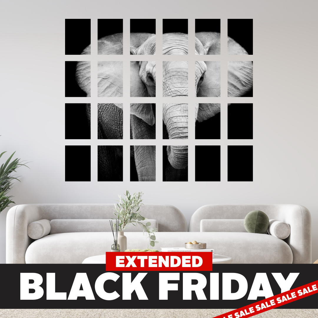 Black Friday Ultimate 24 A5 Canvas Combo Deal