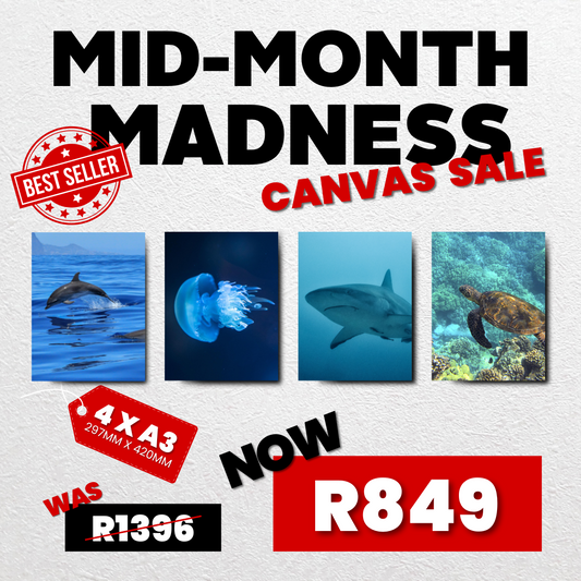 4 x A3 Canvas Mid Month Madness Deal