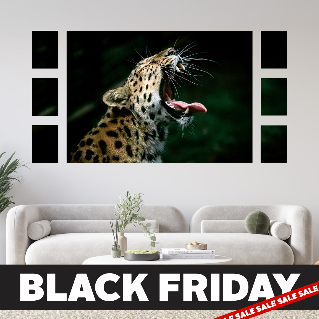 Black Friday 7 Piece Feature Canvas Combo